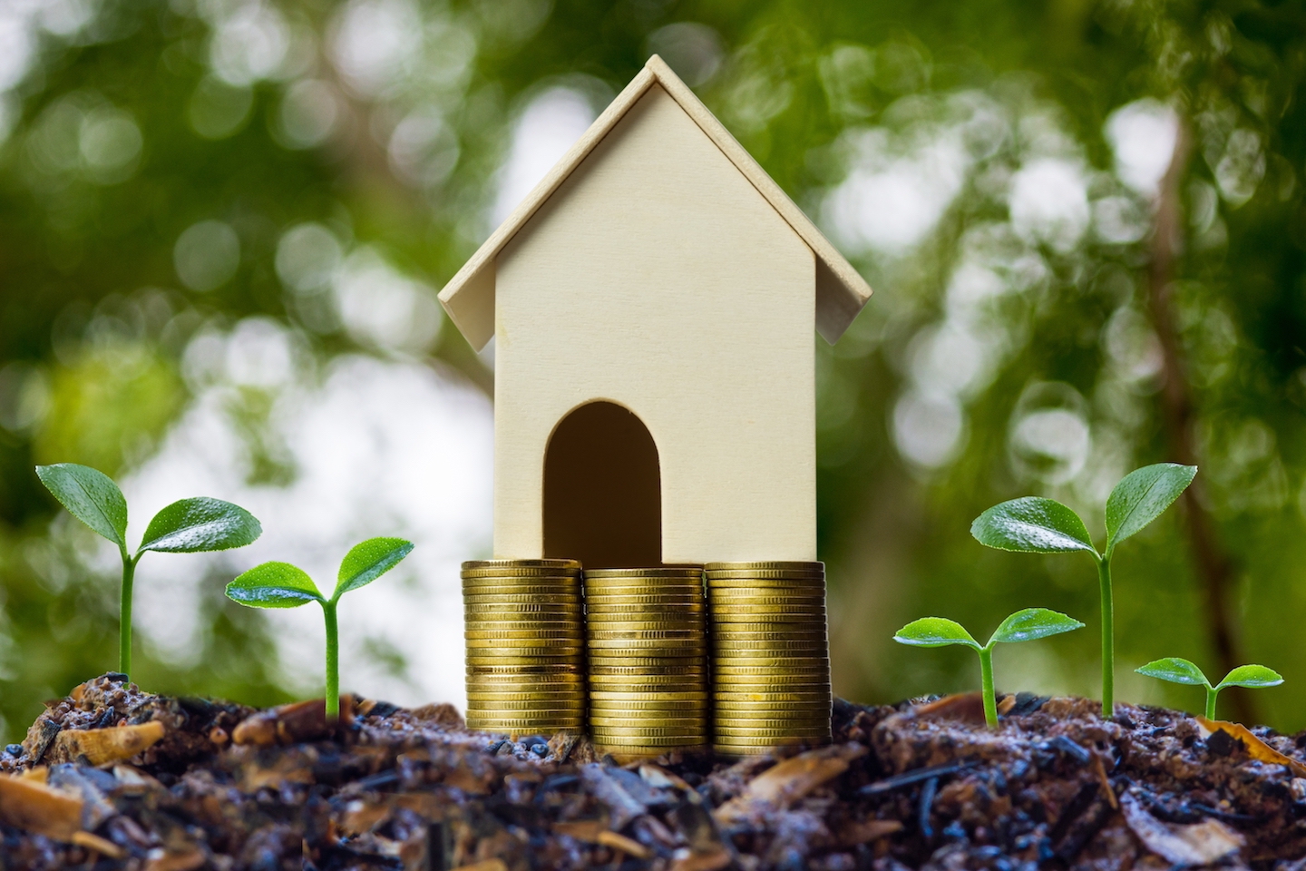 Property investment concepts. A small house model on stack of coins and plant growing on good soil with nature background. Depicts a lasting and long-term investment. Home loan, mortgage, real estate.